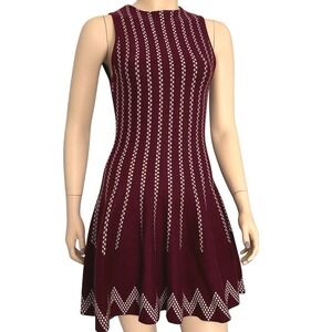 J.O.A. Intarsia Fit and‎ Flare skater sleeveless wine sweater dress small